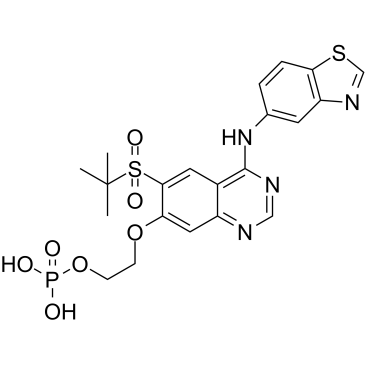 GSK2983559 free acid 1579965-12-0